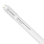 Ledvance LED Buis T8 Value (HF) Standard Output 8W 900lm - 840 Koel Wit | 60cm - Vervangt 18W