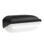 Philips LED Beveiliging Coreline BWC120 Zwart 14W 1800lm - 830 Warm Wit | 282x178mm - IP54 