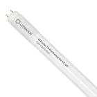 Ledvance LED Buis T8 Performance (HF) Ultra Output 15W 2400lm - 840 Koel Wit | 120cm - Vervangt 36W