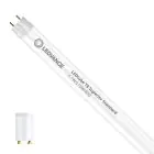 Ledvance LED Buis T8 Superior (EM/Mains) Standard Output 5.1W 810lm - 830 Warm Wit | 44cm - Vervangt 15W